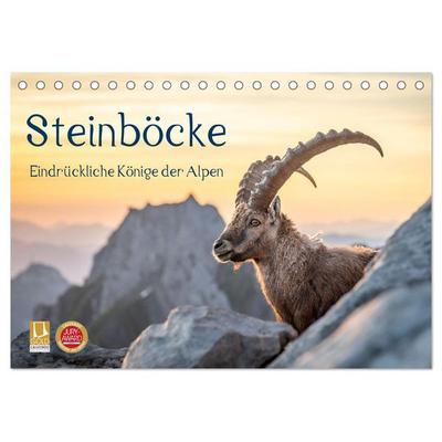 Steinböcke - Eindrückliche Könige der Alpen (Tischkalender 2027 DIN A5 quer), CALVENDO Monatskalender