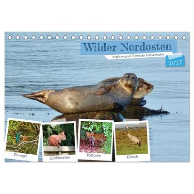 Wilder Nordosten - Aug in Aug mit Tieren der Ostseeregion (Tischkalender 2027 DIN A5 quer), CALVENDO Monatskalender