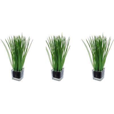 Kunstgras CREATIV GREEN "Gras im Glas", grün, B:6cm H:23cm L:6cm, Obermaterial: 100% Polyethylen, Kunstpflanzen