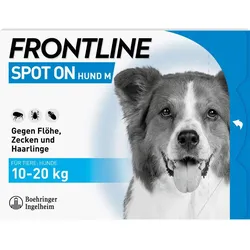 Frontline Spot On H 20 Vet 6 ST