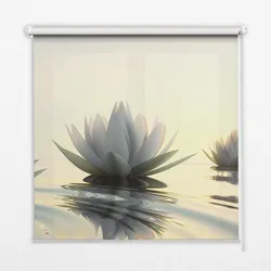 VERDUNKELUNGSROLLO 150x180 cm Seerosen