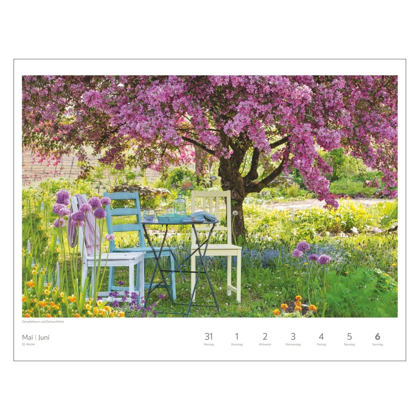 Harenberg Zauber der Jahreszeiten Grosser Wochenkalender 2027 - Jede Woche ein neues Bild (66784275)