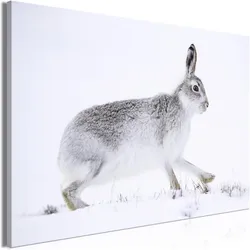 Artgeist, Bilder, Hare (1 Part) Wide (80 x 120 cm)