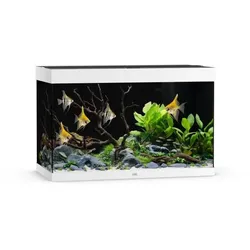 JUWEL Rio 290 LED Aquarium Set weiß