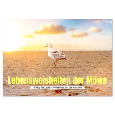 Lebensweisheiten der Möwe - Im Flug des Lebens (Wandkalender 2026 DIN A2 quer), CALVENDO Monatskalender