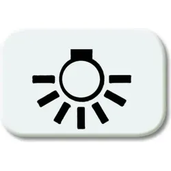 Busch-Jaeger Tastersymbol alpinweiß Licht 2525 LI-214