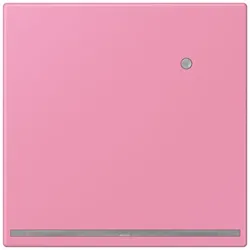 Jung LED-Orientierungslicht LC 1539-O LNW 246