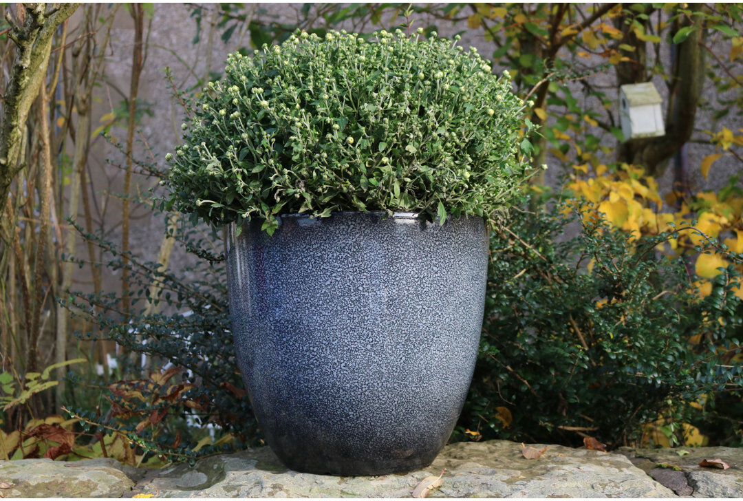 17 Stories Einar Pot Planter Ash Grey 43.18cm H x 45.72cm W x 45.72cm D