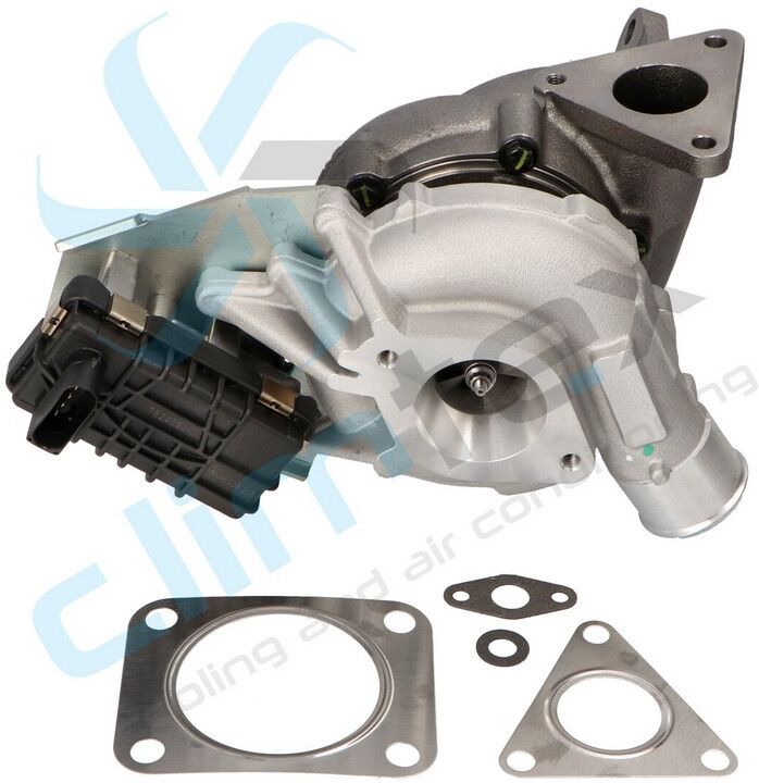 CLIMTEX CX8-169 Beschleunigerpumpe, Vergaser
