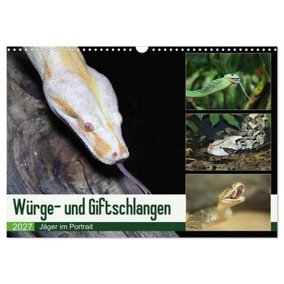 Würge- und Giftschlangen (Wandkalender 2027 DIN A3 quer), CALVENDO Monatskalender