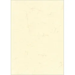 RNK-Verlag Motivpapier Elefantenhaut 190 g/m2 chamois