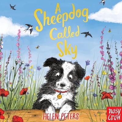 A Sheepdog Called Sky - Helen Peters, Audio, 9781839946134