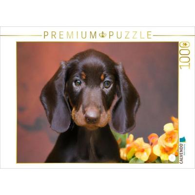 CALVENDO Puzzle Dackel | 1000 Teile Lege-Größe 64x48cm Foto-Puzzle für glückliche Stunden