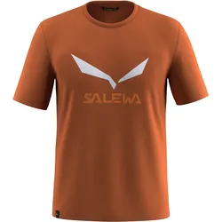 Salewa, Herren, Funktionsshirt, Solidlogo Dry T-Shirt (50, L), Orange, Beige, Rot