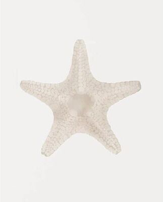 Uplift Treasures Watercolor Sea Shell And Starfish Canvas Wall Art 4 1pc 40x60cm No Frame