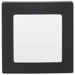 Busch-Jaeger Zentralscheibe sw mt 1716-885