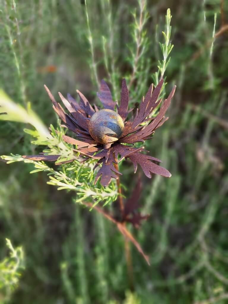 Saremo Edelrost Distel op een stok