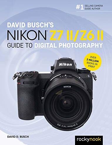 David Busch - David Busch's Nikon Z7 II/Z6 II (David Busch Camera Guide) - Preis vom 10.10.2026 11:48:34 h