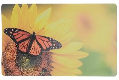 IH Casa Decor Plastic Placemat Sunflower Butterfly 12 X 18 - Set of 12