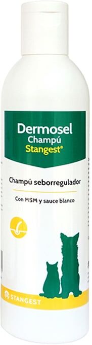 Stangest Dermosel Champu 250 ml