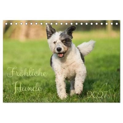 Fröhliche Hunde (Tischkalender 2027 DIN A5 quer), CALVENDO Monatskalender