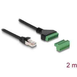 DELOCK RJ45 Kabel Cat.6 Stecker zu Terminalblock Adapter 2 m