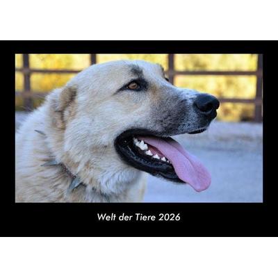 Welt der Tiere 2026 Fotokalender DIN A3