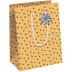 Clairefontaine 6x Zitrusfrüchte, Kraft weiß, Geschenktasche M 21,5x10,2x25 ,3 cm - Orange X-32784-3C