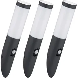 3er Set Wand Lampe FERNBEDIENUNG Edelstahl Garten Fackel Leuchte dimmbar im Set inkl. RGB LED Leuchtmittel
