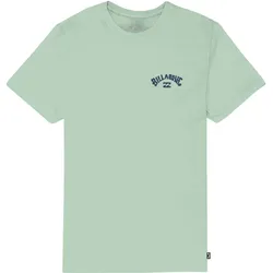 BILLABONG ARCH WAVE T-Shirt 2026 dusty green - S