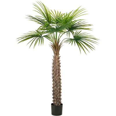 Kunstpalme CREATIV GREEN "Fächerpalme", grün, H:175cm, Kunststoff, Kunstpflanzen, mit naturgetreuen Palmwedeln