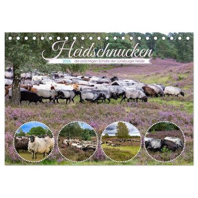 Heidschnucken, die prächtigen Schafe der Lüneburger Heide (Tischkalender 2026 DIN A5 quer), CALVENDO Monatskalender