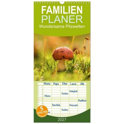 Familienplaner 2027 - Wundersame Pilzwelten mit 5 Spalten (Wandkalender, 21 x 45 cm) CALVENDO