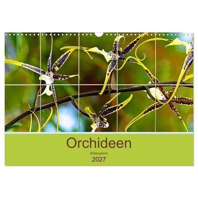 Orchideen Bildergalerie (Wandkalender 2027 DIN A3 quer), CALVENDO Monatskalender