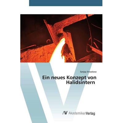 Ein neues Konzept von Halidsintern, Taschenbuch von Sanjay Srivastava, AV Akademikerverlag, 978-620-2-22899-2