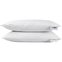 KOPFKISSEN Seide 2er-Set, 48/74 cm