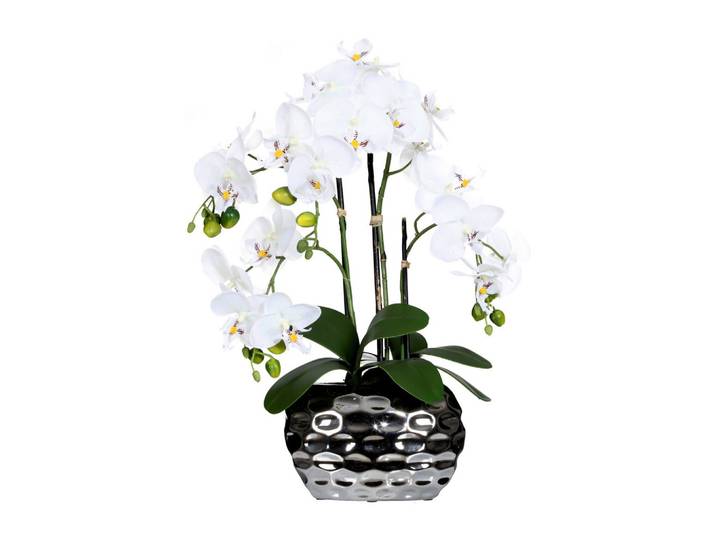 Kunstpflanze Orchideen Grün ca. 55cm