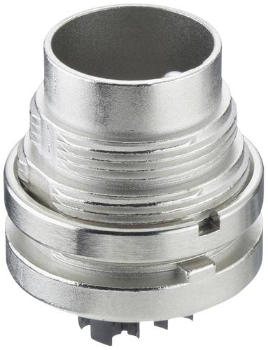 Lumberg SGV 81 C Stecker Stecker, Einbau Gesamtpolzahl: 8