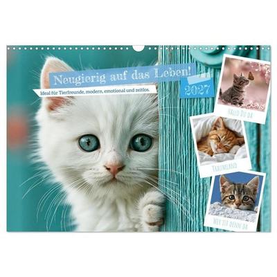 Neugierig auf das Leben! (Wandkalender 2027 DIN A3 quer), CALVENDO Monatskalender