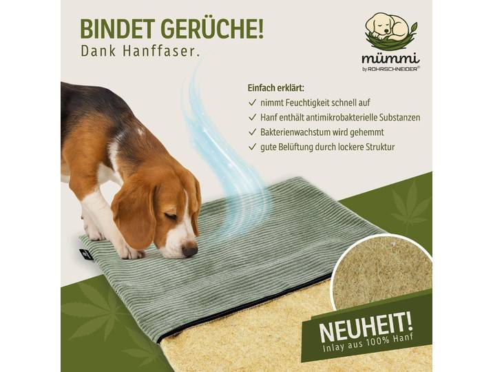 mümmi Hundebett HANF - geruchsbindend Allergikerfreundlich Hundekissen Cord-Bezug waschbar bei 60° Hundematte eckig rutschfest Hundedecke , Hundematratze Germany, Farbe:salbei, Größe:Größe 2