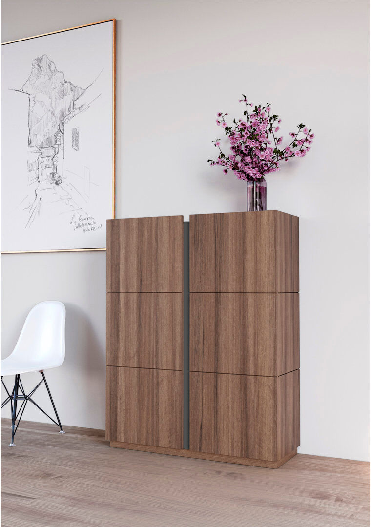 Ebern Designs 24 Pair Shoe Storage Cabinet Noyer/Graphite 24