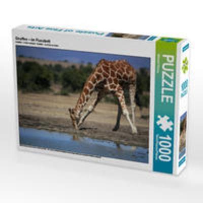 CALVENDO Puzzle Giraffen – Im Flussbett 1000 Teile Lege-Größe 64 x 48 cm Foto-Puzzle Bild von Michael Herzog