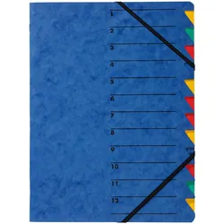 Pagna, Mappe, Dokumentenmappe Easy, DIN A4, Gummizugverschluss, 12-teilig (A4)