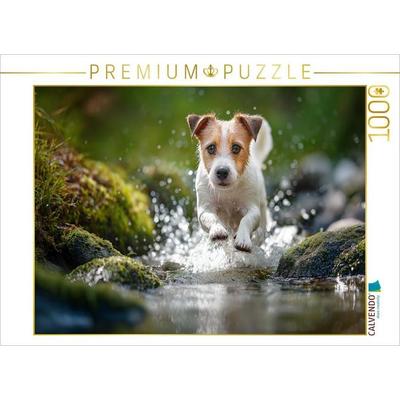 CALVENDO Puzzle Abkühlung mit Spritzgarantie | 1000 Teile Lege-Größe 64x48cm Foto-Puzzle für glückliche Stunden