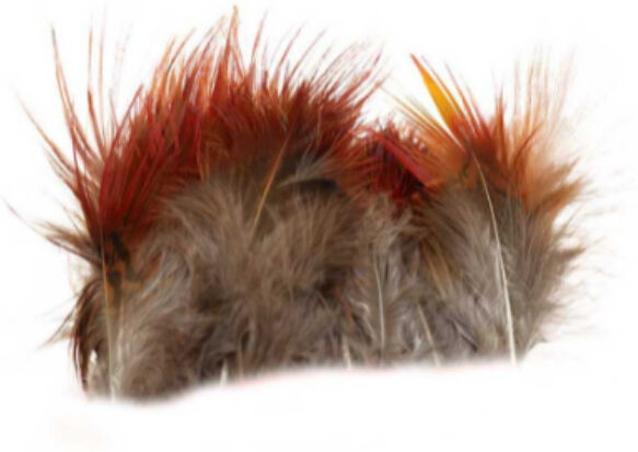 Flyco Golden Pheasant Red Body Feathers