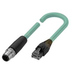 BALLUFF BCC0E92 Verteilerleitung Stecker, gerade, Stecker, gerade 0.60 m Polzahl Sensoren: 4, 4 1 St. Piece
