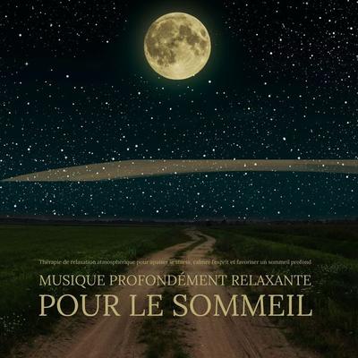 Musique Profondément Relaxante pour le Sommeil - NEOWAVES-Musique Profondément Relaxante pour le Sommeil, Audio, 4069829190626