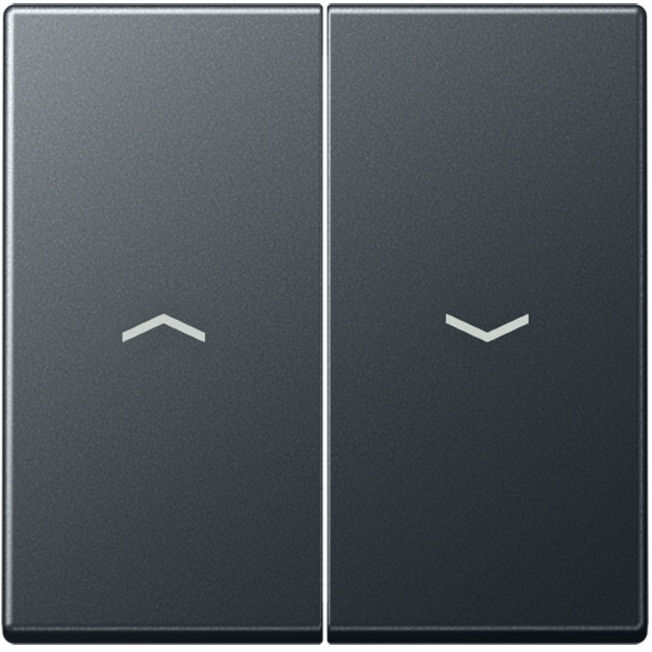 Jung Wippe Symboles Flèches 2x anthracite mat A 595 BF P ANM (A595BFPANM)