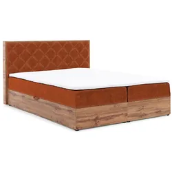 BOXBETT Maximo In Torre