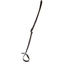 Umhäge- oder Führleine, Leder braun - 16 mm breit Hundeleine